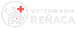 Clinica Veterinaria Reñaca
